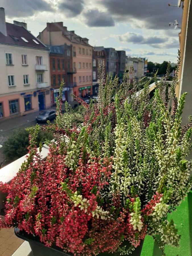 Apartament Centrum Apartment Malbork Exterior photo